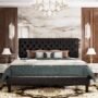 Queen Black Faux Leather Upholstered Platform Bed with Button-Tufted Headboard